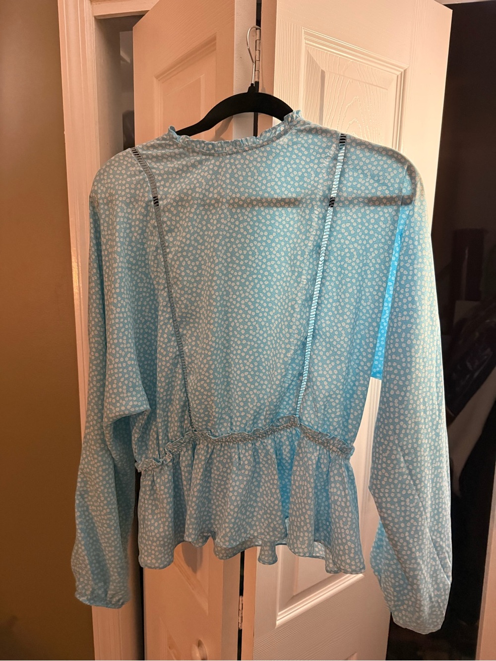 Sienna sky medium Light Blue Floral Ruffle Hem Long-Sleeve Top